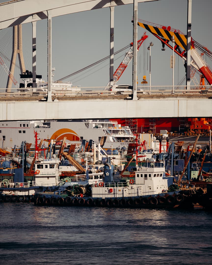 Harbor Observation Walk