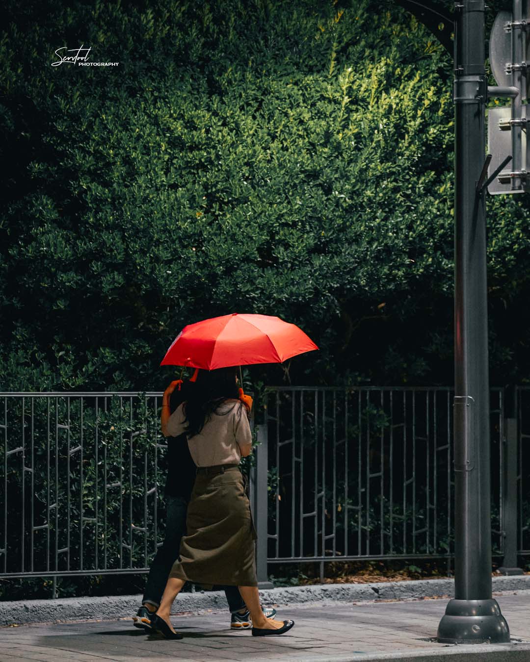 Rain & Reflection Walk